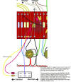 Tonestack Switch Diagram 2