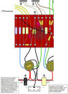 V2a cathode switch diagram